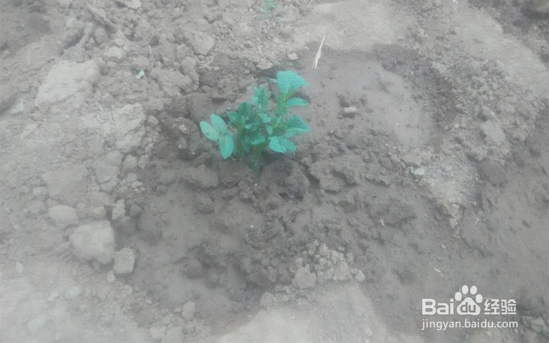 红米手机摄像头镜片刮花了怎么办