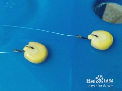 如何认知冬钓技巧