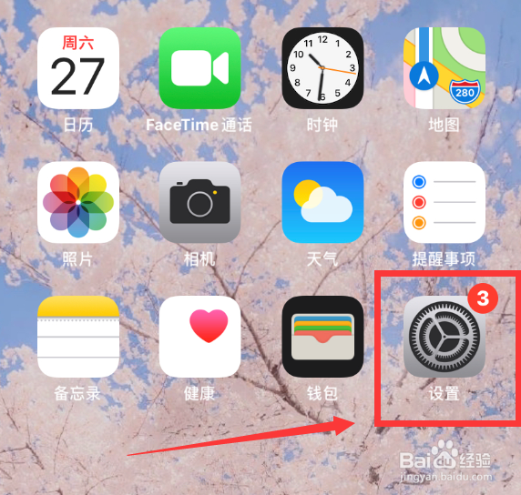 如何把苹果手机字体变小