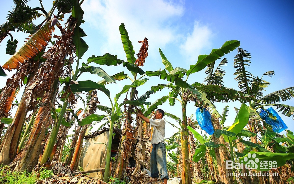 关于新冠肺炎的10个真相