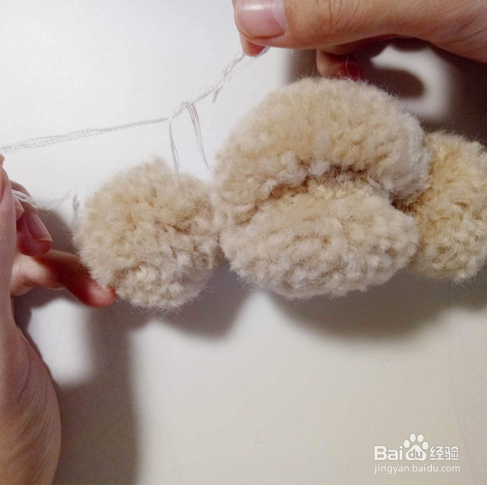 小泰迪的基础教程