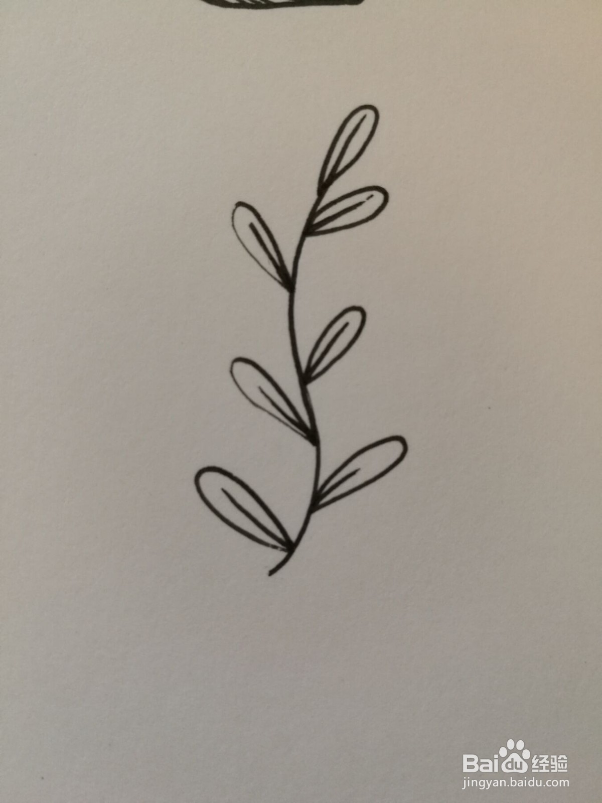 小草简笔画之画法八