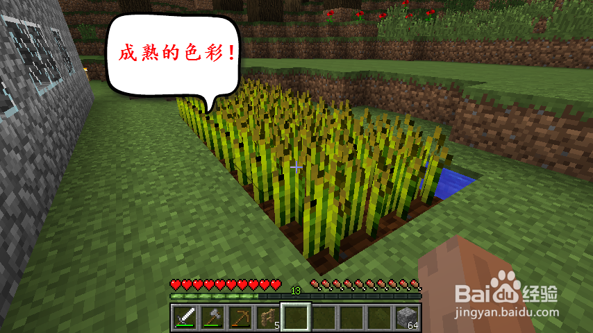 我的世界怎么种小麦