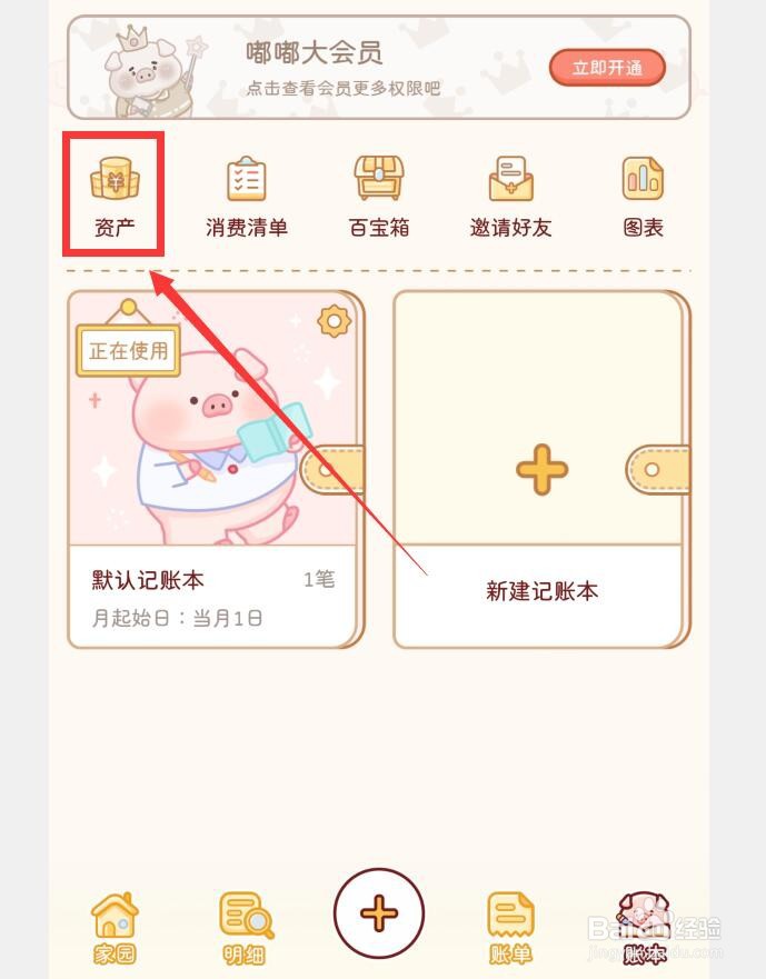 如何在嘟嘟记账中查看资产