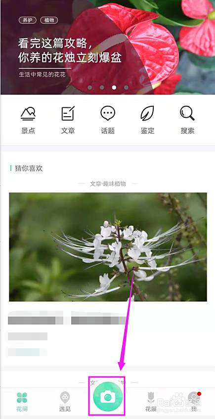 形色如何拍照识别花草树木 百度经验