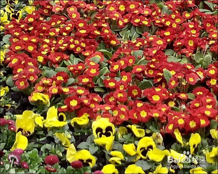 艾诺 AX10 PRO 10.1寸安卓 4G网络平板测评试用