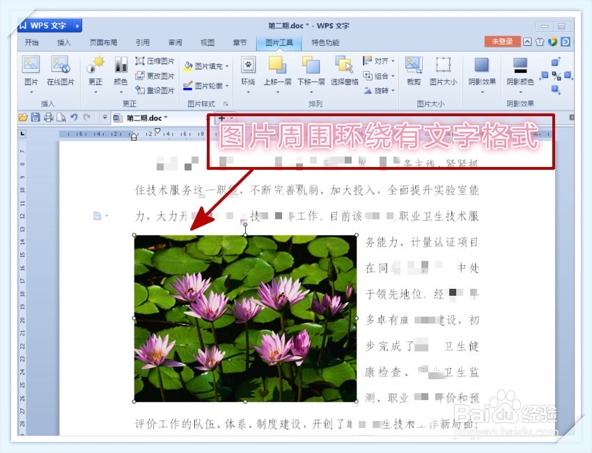 Word 文档中怎样编辑图片
