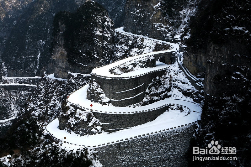 去张家界旅游多少钱