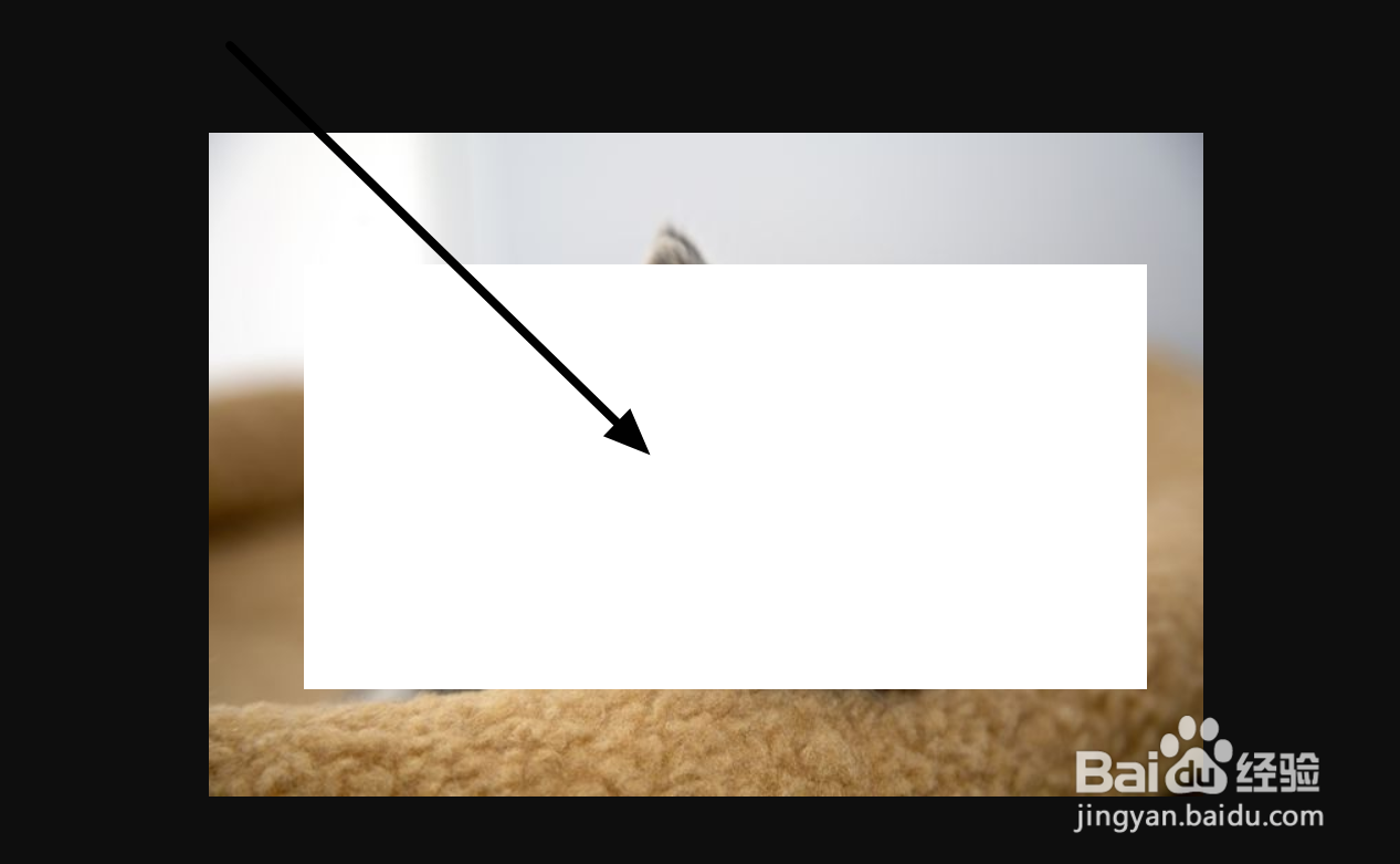 如何使用为知笔记管理分享图片