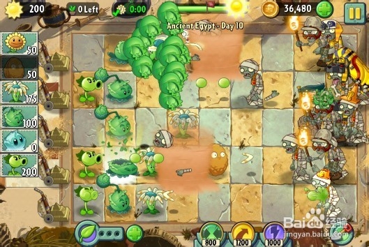 植物大战僵尸2（金字塔）第十关3星图文过关攻略
