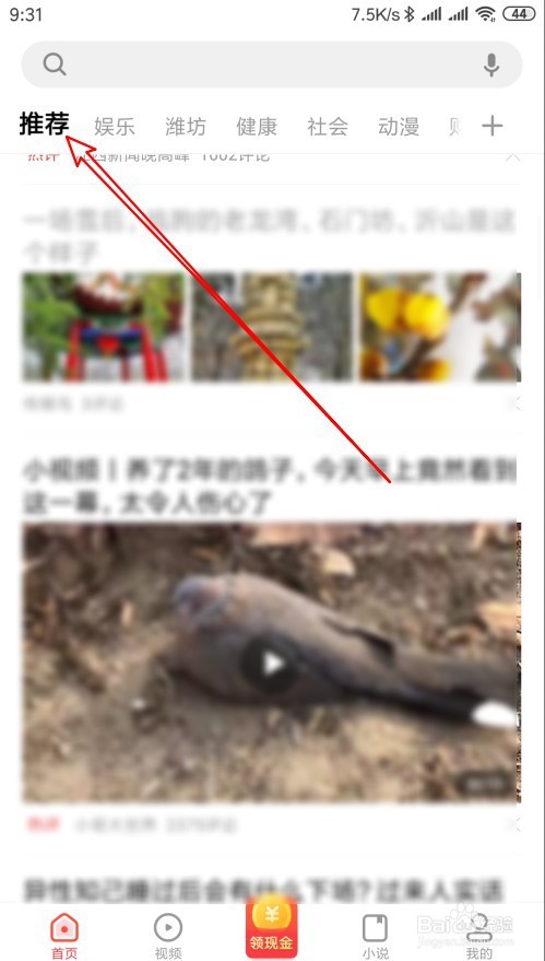 看多多如何拉黑指定作者的视频