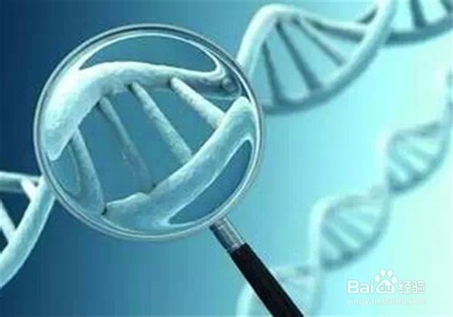 我怎样才能安全瘦身？