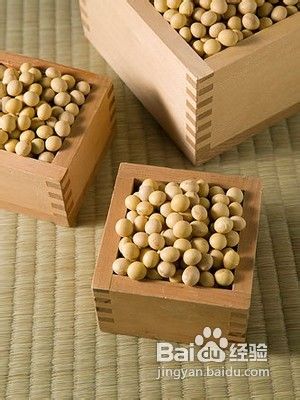 睡前的五大必吃食物