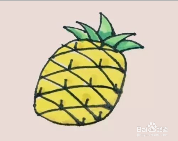 如何画简笔画菠萝？