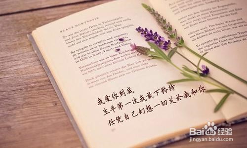 二三本合并怎么报志愿