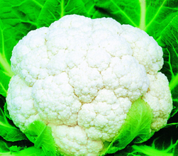 哪些食物一定不能共食（那些你不知道的秘密六）