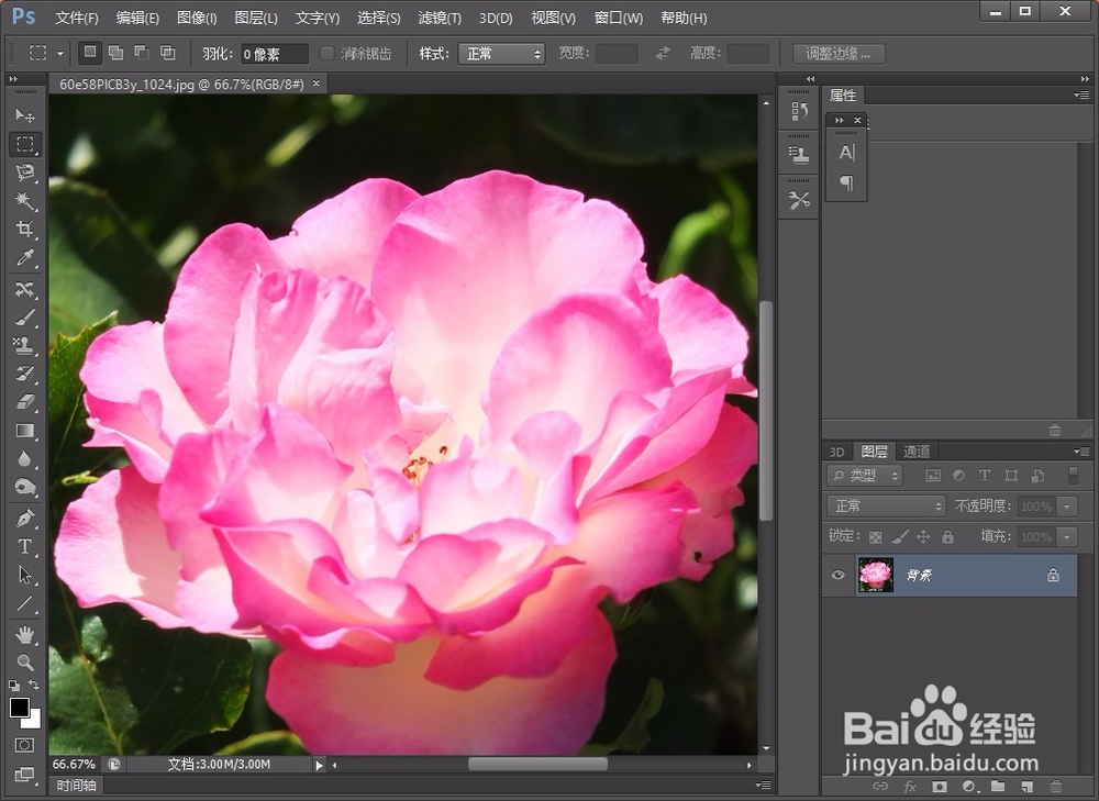 Photoshop怎么复制图层样式