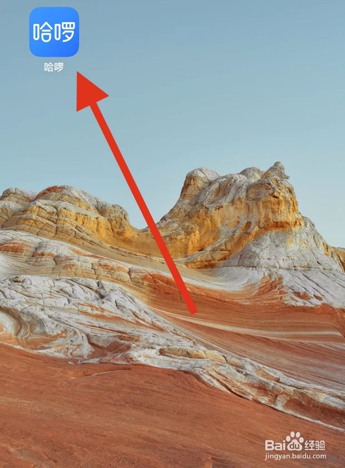 哈啰如何查看有哈有车？