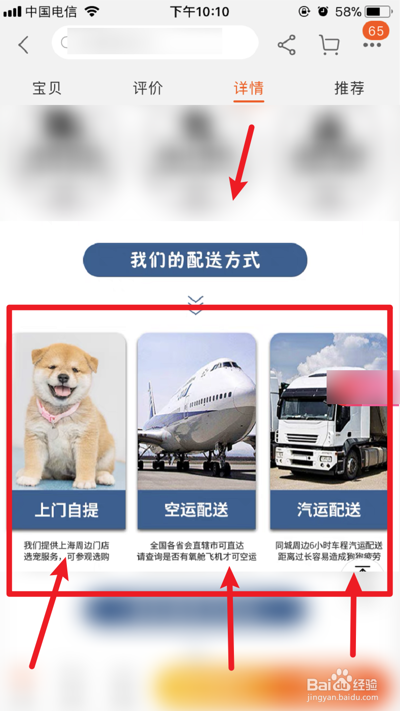 网上买狗狗怎么运送