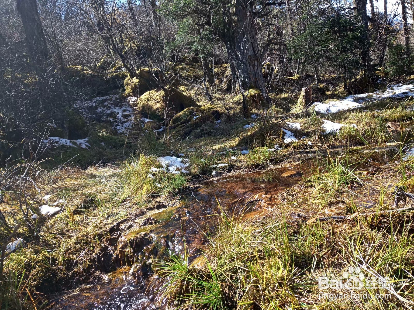 八分山游玩攻略