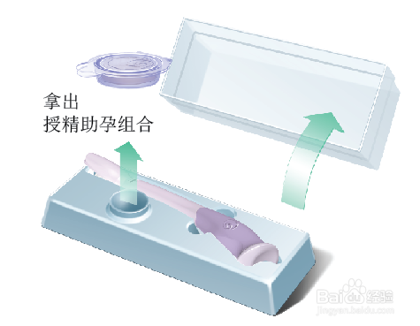 <b>施孕可操作具体步骤</b>