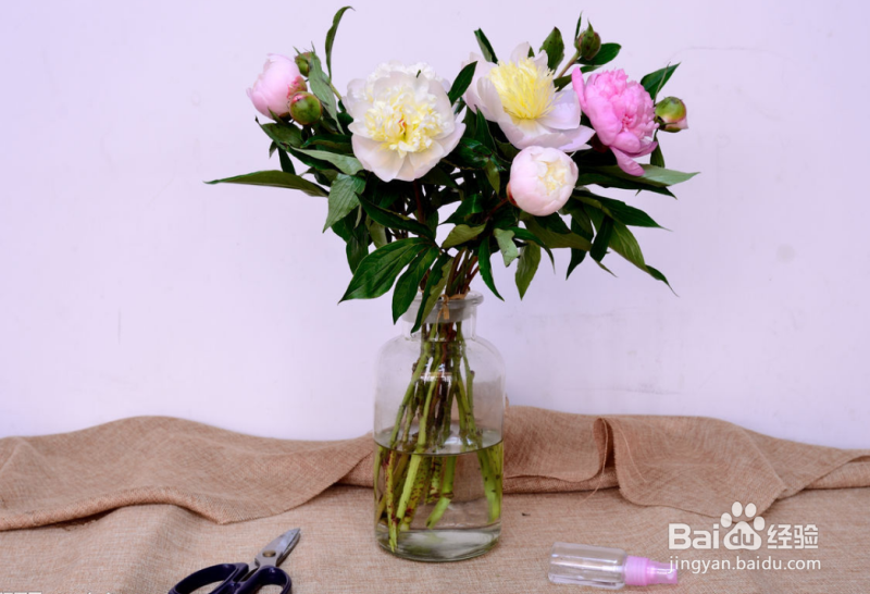 养花不开花是怎么回事