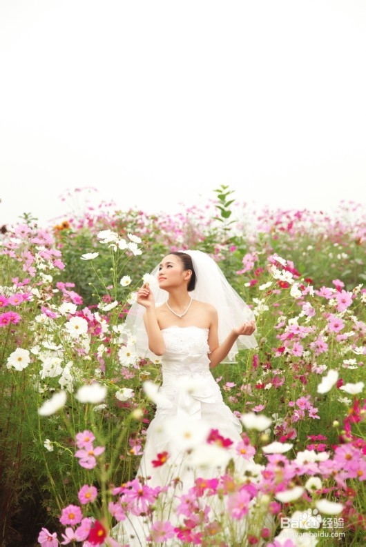 秋冬拍花海婚纱照攻略 百度经验