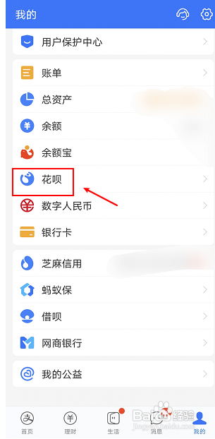 花呗如何看全年每月总支出