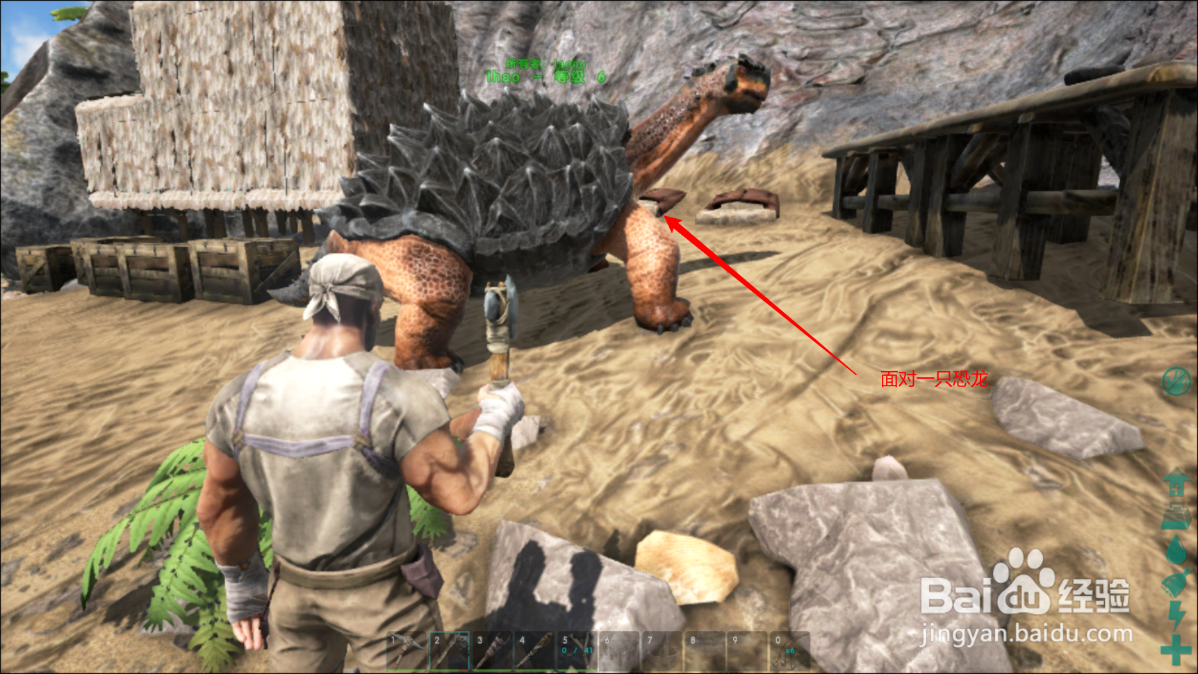 方舟如何让龙呆在原地不动？