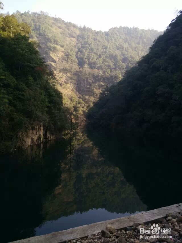 江西省马头山原始森林指南