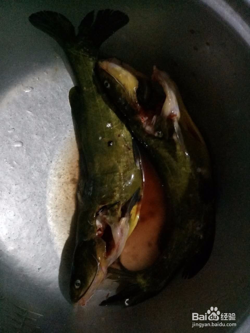 好吃营养的鱼汤做法