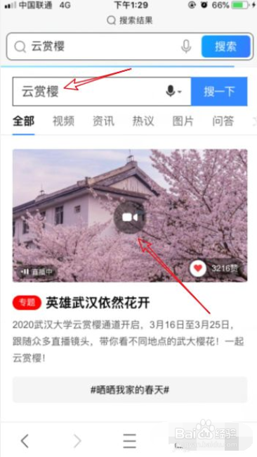 武大云赏樱怎么看