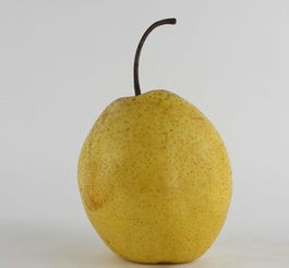 慢性支气管炎患者适合吃什么食物