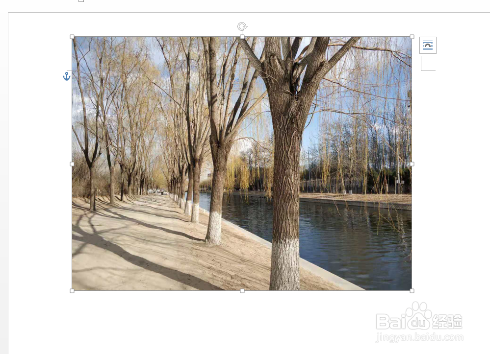 WORD中怎样随意移动图片