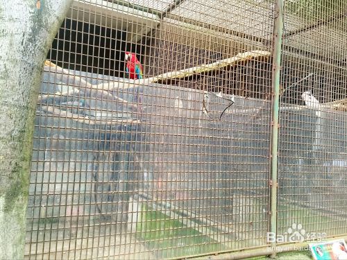 四川成都动物园中的儿童动物园旅游攻略（2016）