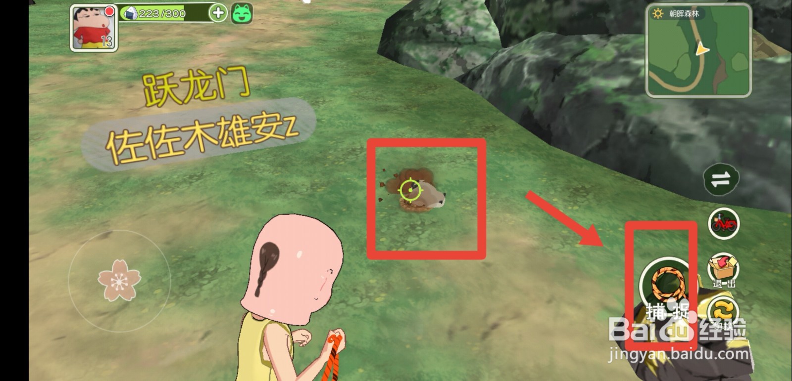 小森生活土拨鼠怎么获得