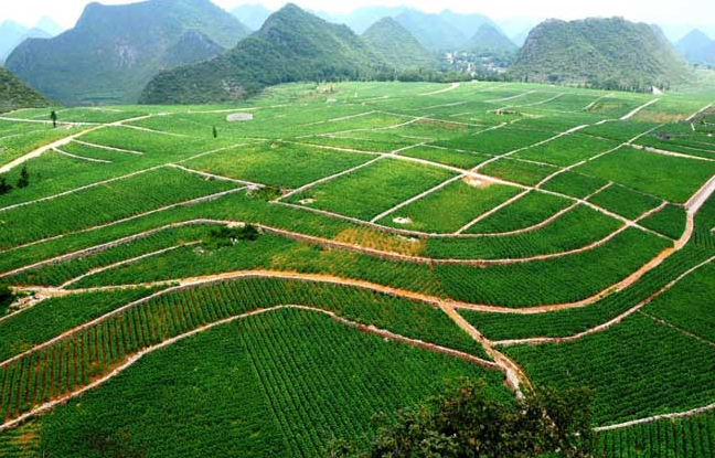 160平方公里有多大