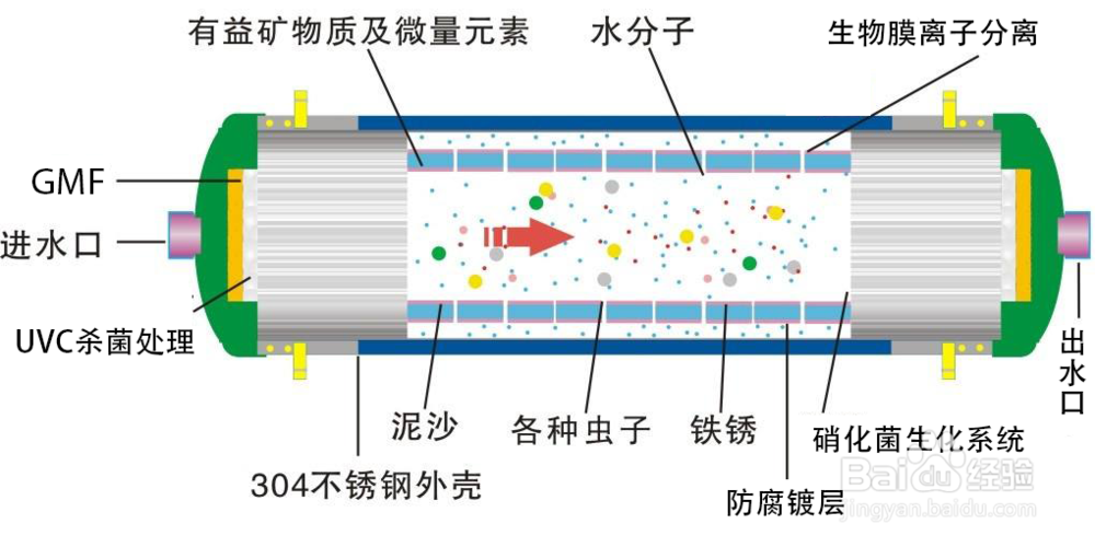 关于GMF的生物膜离子的分离技术