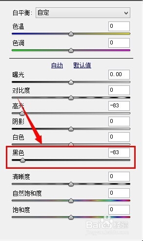 使用 Camera Raw 提高照片质量
