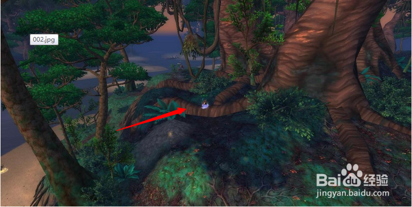 朱鹤寺【寻找仙鹤之魂】