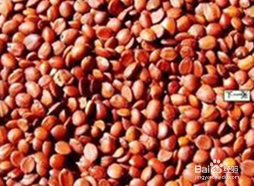 严重性失眠怎么办