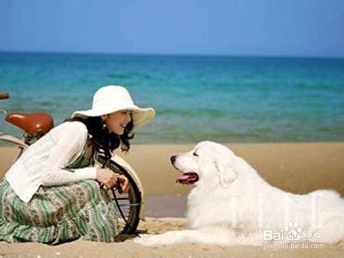 如何消除烦恼