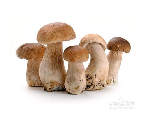 想要增强人体免疫系统,可以吃这七种食物