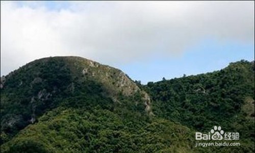 怎样戒掉看小说，或减少看小说？？