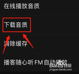 网易云音乐app如何自动下载无损音质