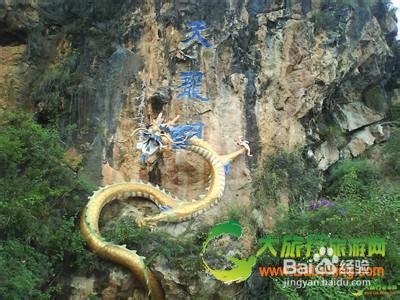 怎样选择合适的旅游方式