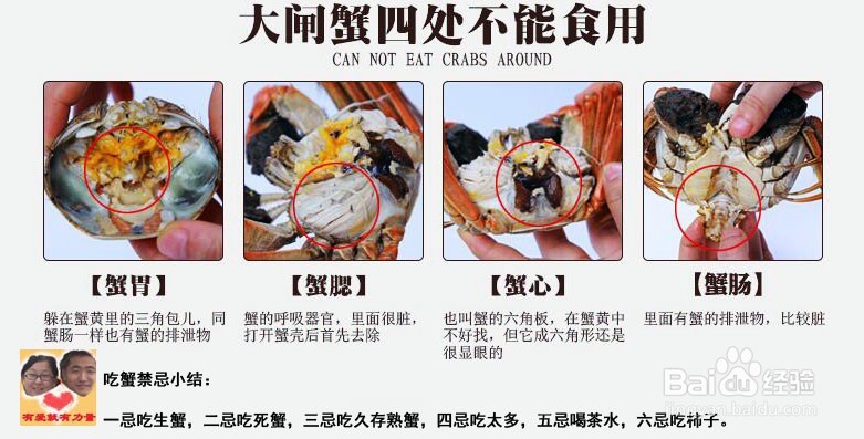 体验蟹八件“文吃”螃蟹!