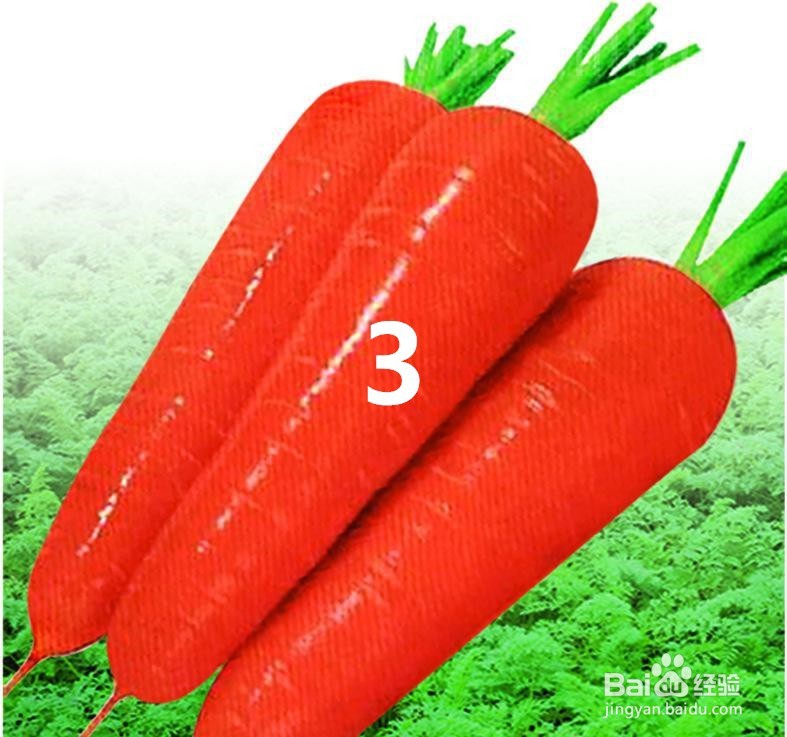 萝卜有哪些用法和好处