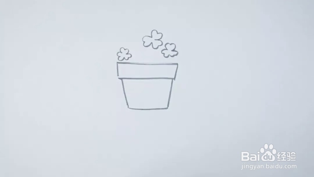 怎么画盆栽三叶草