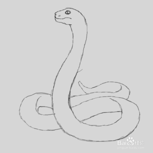用素描画眼镜蛇的所有教程